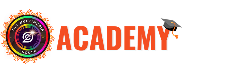 ZMH Academy